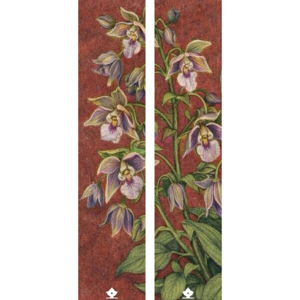 فاصل كتاب BM01